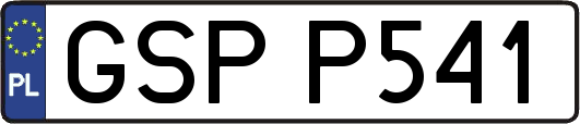 GSPP541