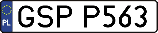 GSPP563