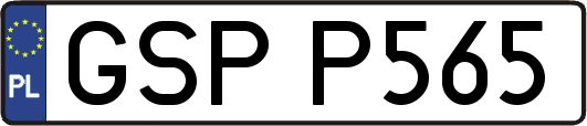 GSPP565