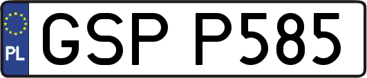 GSPP585