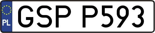 GSPP593