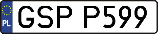 GSPP599