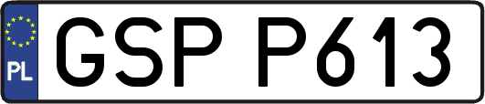 GSPP613