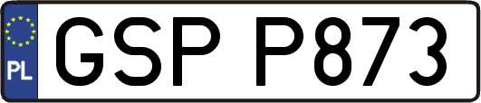 GSPP873