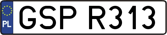 GSPR313