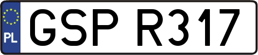 GSPR317
