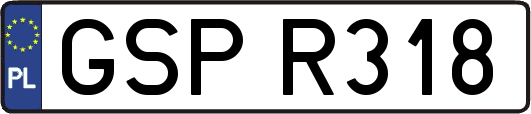 GSPR318