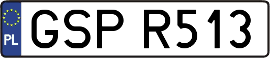 GSPR513