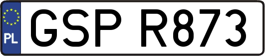 GSPR873