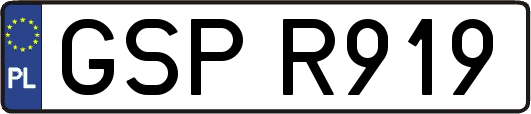 GSPR919