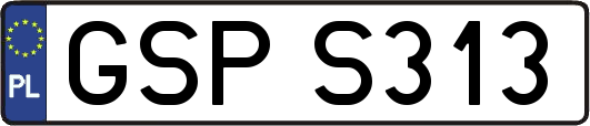 GSPS313