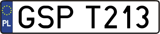 GSPT213