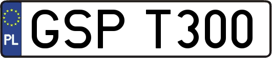 GSPT300