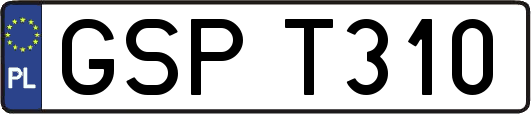 GSPT310