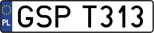 GSPT313