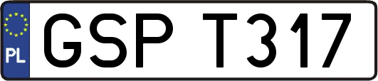 GSPT317