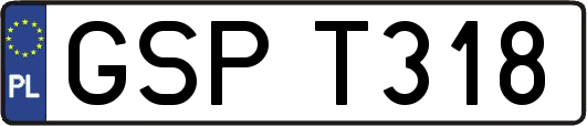GSPT318