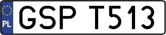 GSPT513