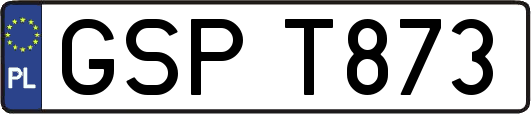 GSPT873