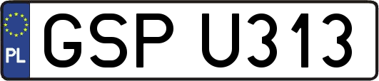 GSPU313