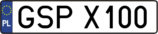GSPX100