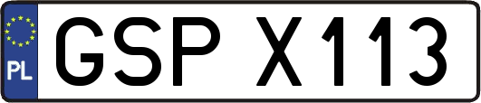 GSPX113