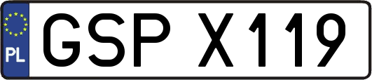 GSPX119