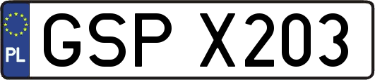 GSPX203