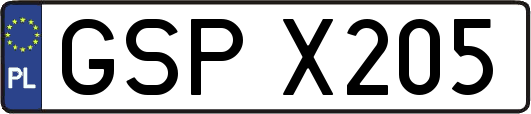 GSPX205