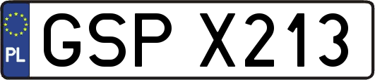 GSPX213