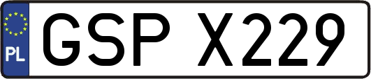 GSPX229