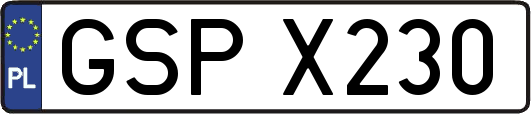 GSPX230