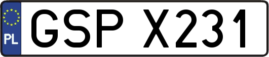 GSPX231