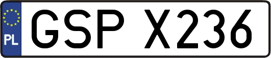 GSPX236