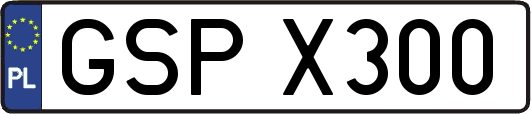 GSPX300