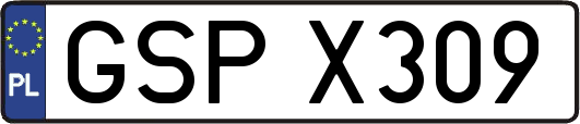 GSPX309
