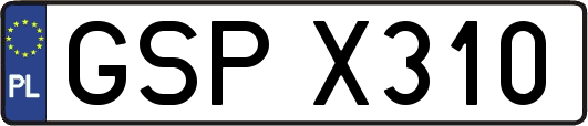 GSPX310
