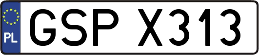 GSPX313