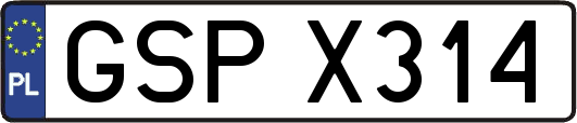 GSPX314