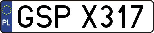 GSPX317