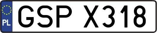 GSPX318
