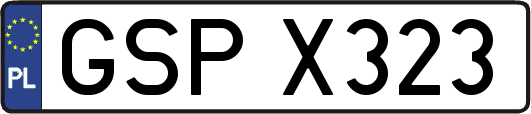 GSPX323