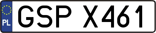 GSPX461