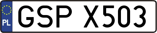 GSPX503