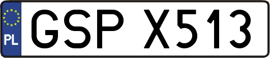 GSPX513