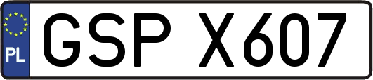 GSPX607