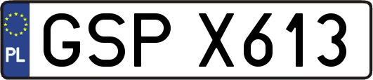 GSPX613