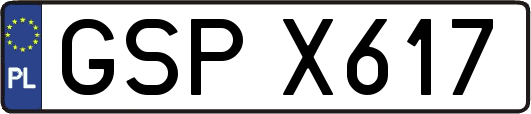 GSPX617