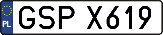 GSPX619