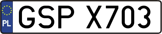 GSPX703